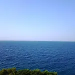 Apartments Punta Milna